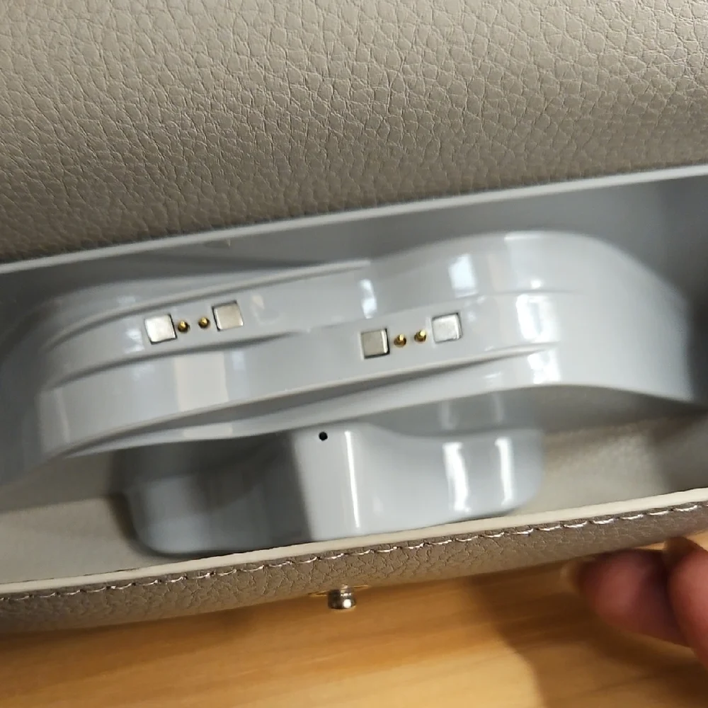 Sangstre Black Audio Smart Glasses with Gray Case
